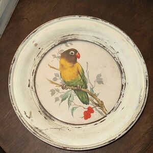 Cute Bird Print Picture